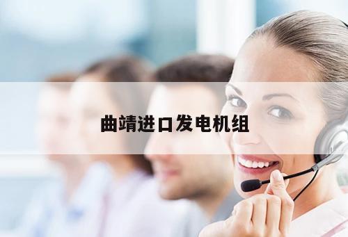 曲靖進口發(fā)電機組